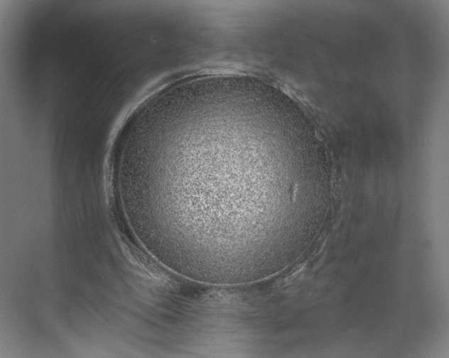 X0000073950343200609051758