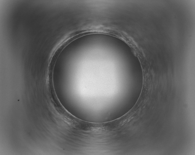 X0000073950344200609051758