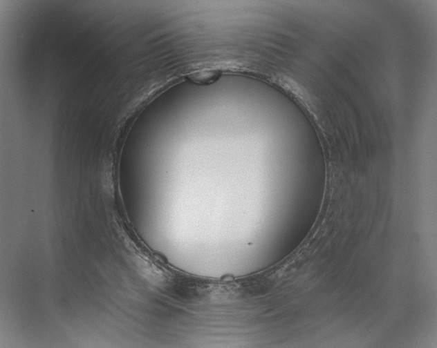 X0000073950345200609051758