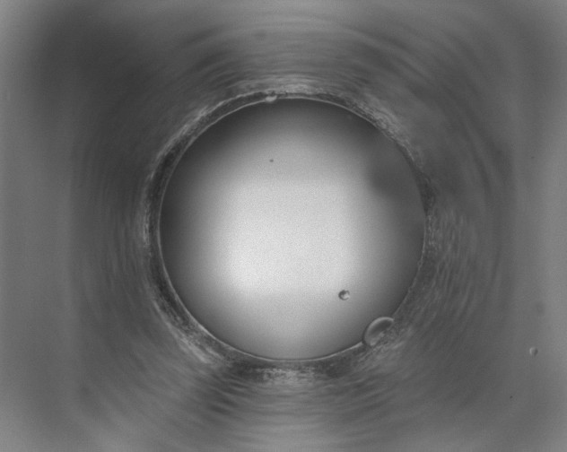 X0000073950347200609051758