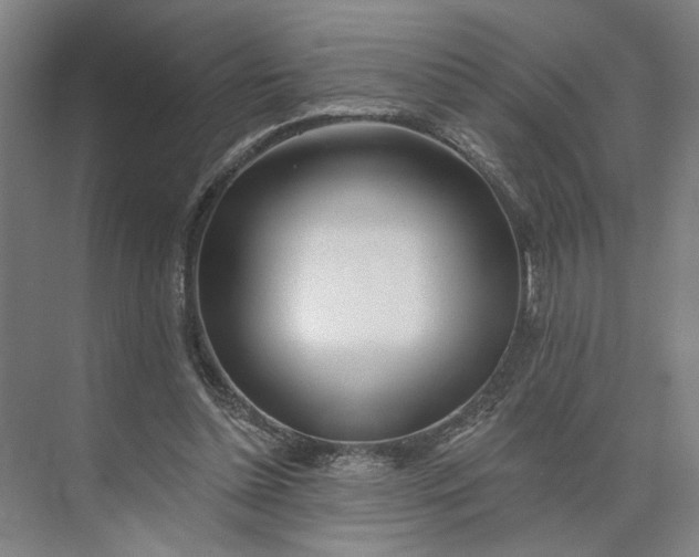 X0000073950348200609051758