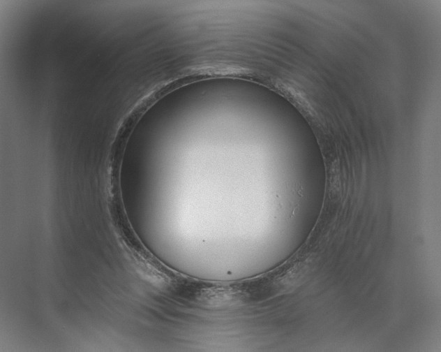 X0000073950351200609051758