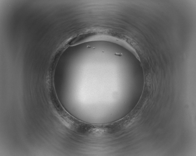 X0000073950352200609051758