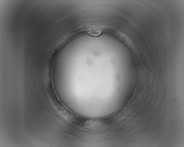 X0000073950354200609051758