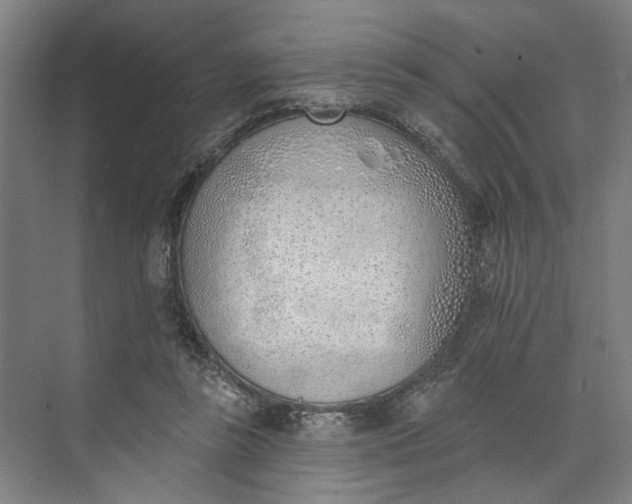 X0000073950355200609051758