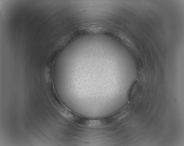 X0000073950361200609051759