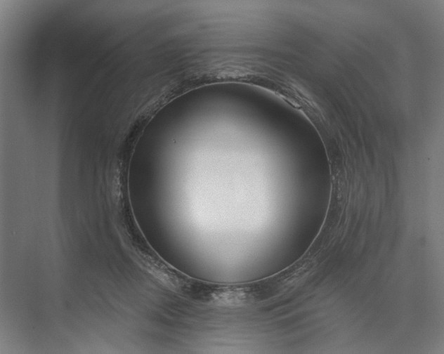 X0000073950362200609051759