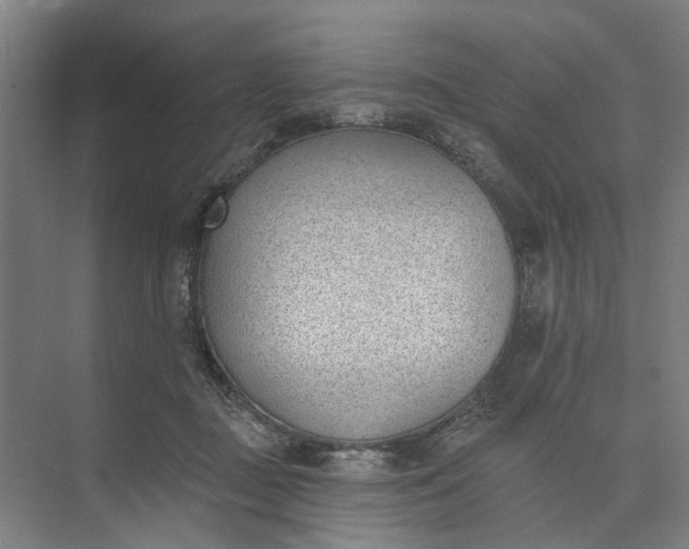 X0000073950363200609051759