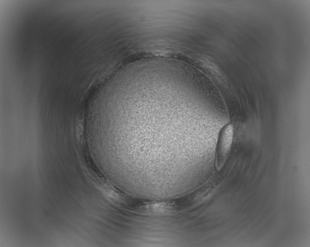 X0000073950365200609051759