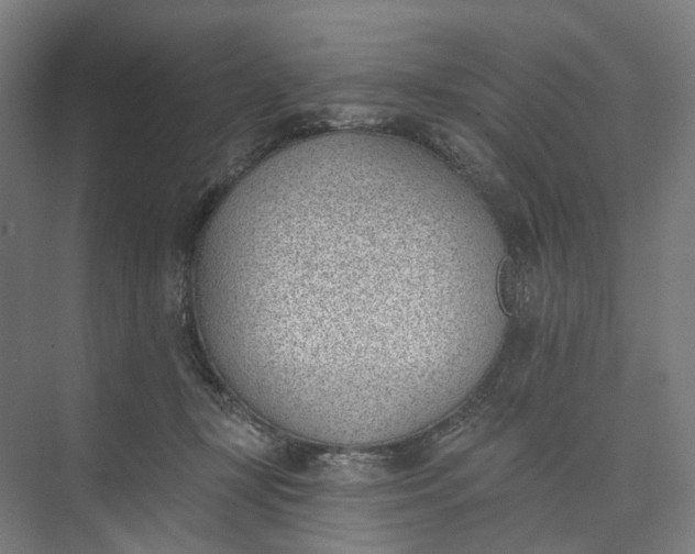 X0000073950367200609051759