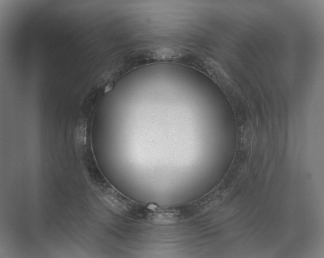 X0000073950368200609051759