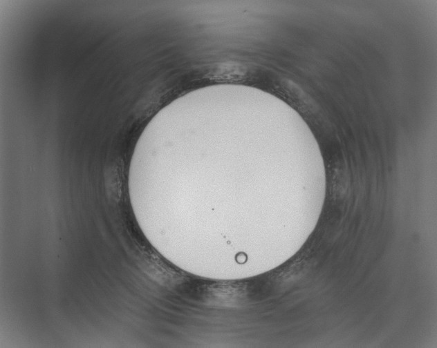 X0000073950370200609051759