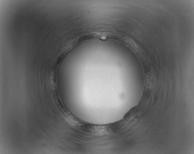 X0000073950377200609051759