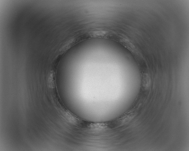 X0000073950378200609051759