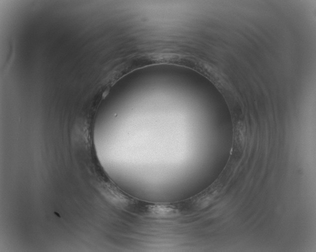 X0000073950380200609051759