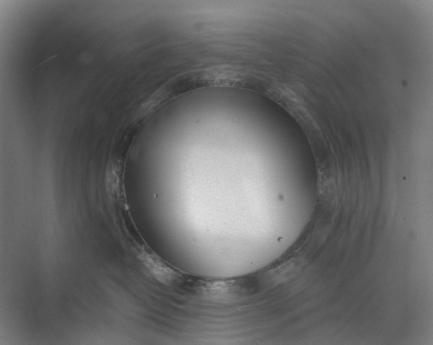 X0000073950382200609051759