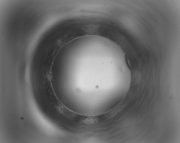 X0000073950383200609051759