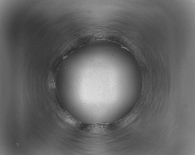 X0000073950384200609051759