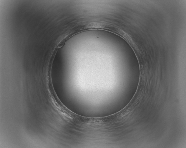 X0000073950386200609051758