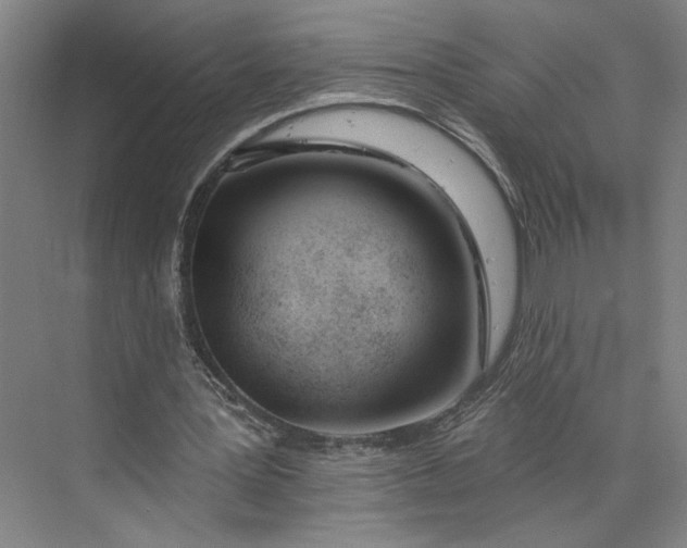 X0000073950387200609051758