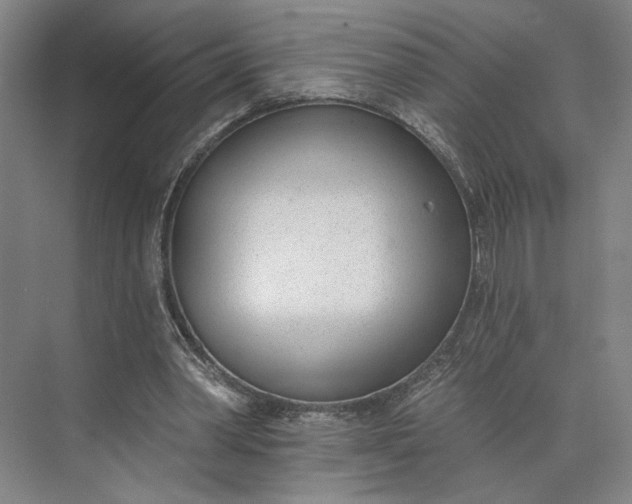 X0000073950390200609051758