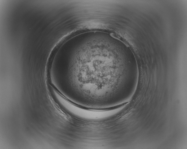 X0000073950391200609051758