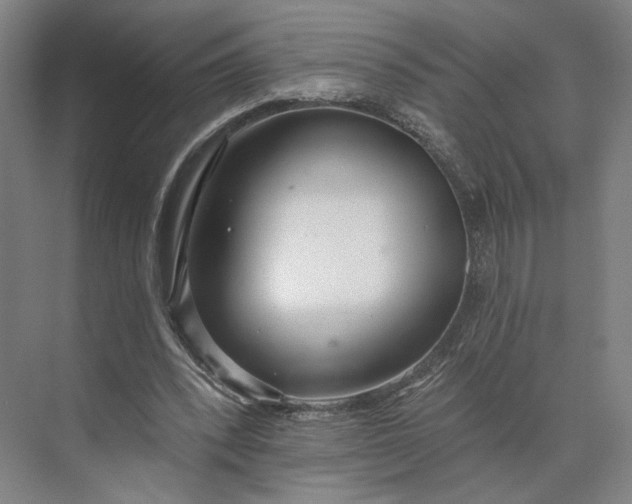 X0000073950392200609051758