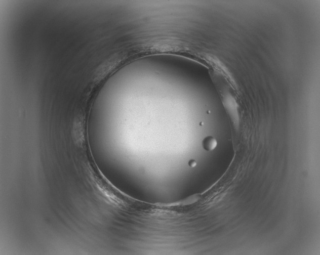 X0000073950393200609051758