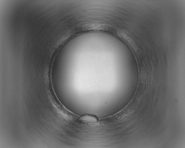 X0000073950394200609051758