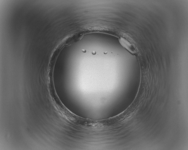 X0000073950395200609051758