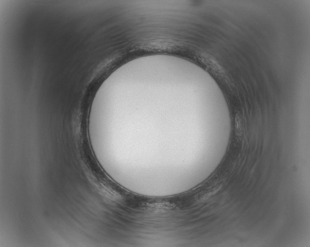 X0000073950396200609051758