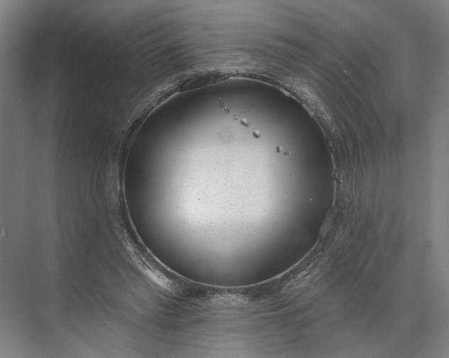 X0000073950397200609051758