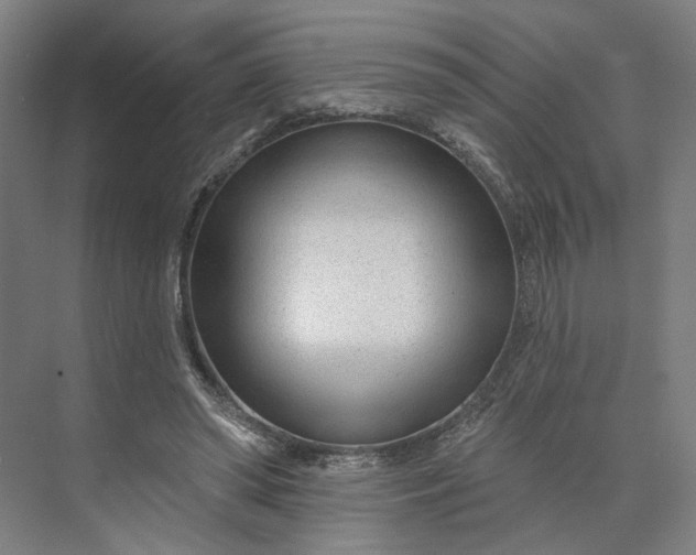 X0000073950398200609051758