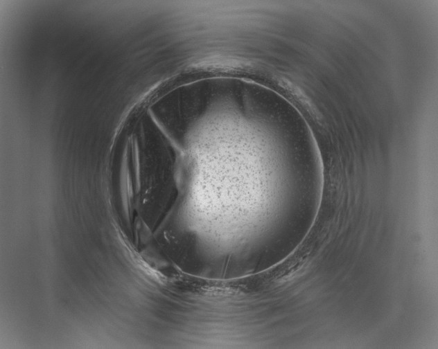 X0000073950399200609051758