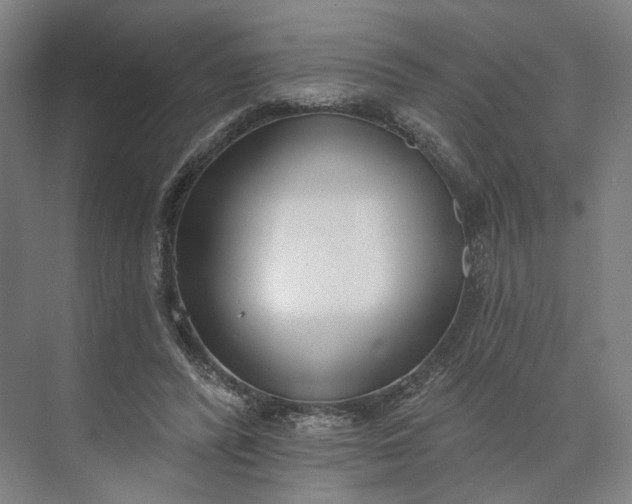 X0000073950400200609051758