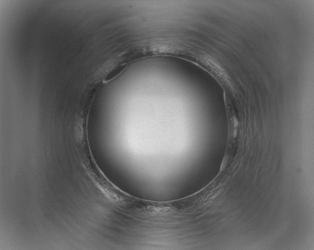 X0000073950401200609051758