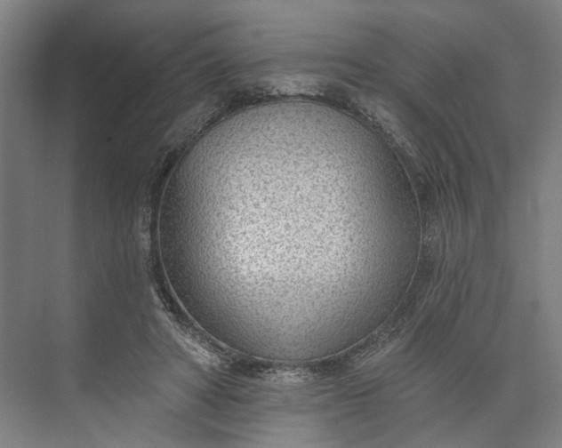 X0000073950402200609051758