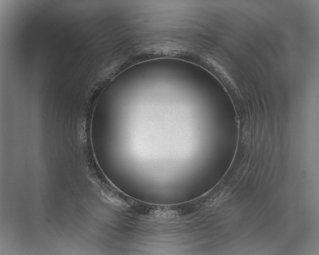 X0000073950403200609051758