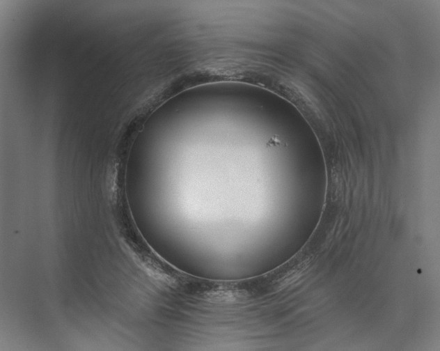 X0000073950404200609051758