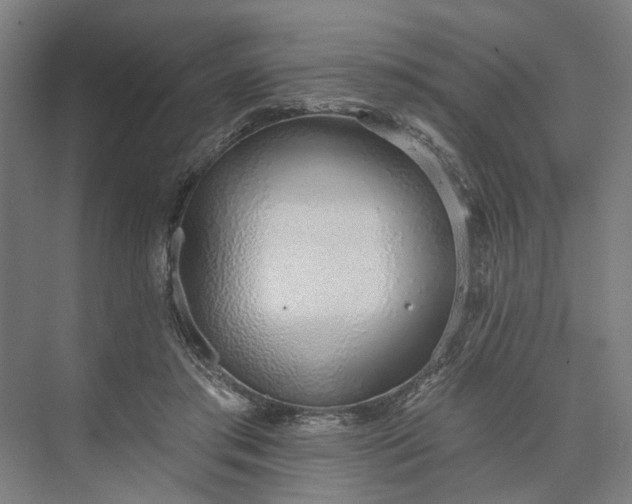 X0000073950405200609051758