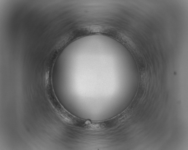 X0000073950406200609051758