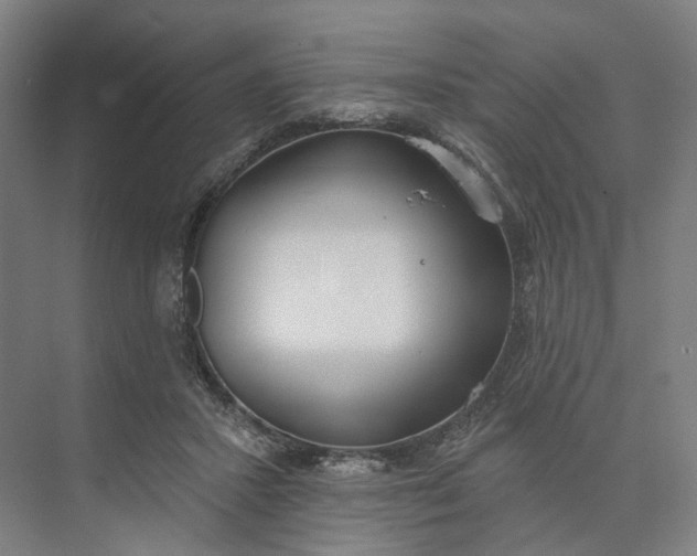 X0000073950407200609051758