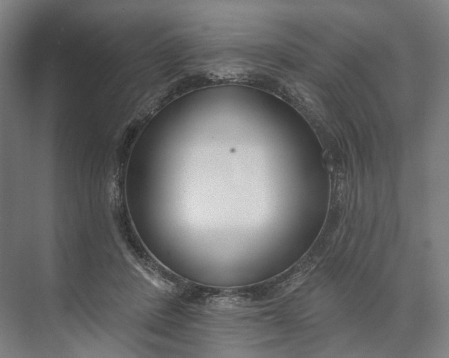 X0000073950408200609051758