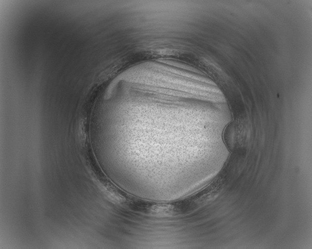 X0000073950410200609051758