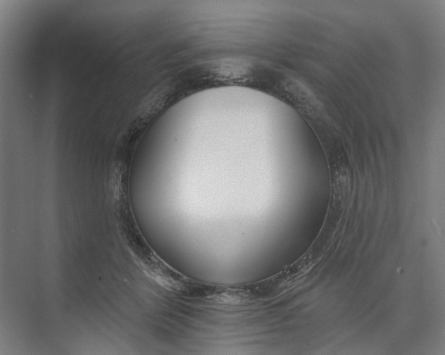 X0000073950412200609051758