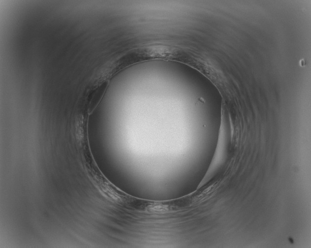 X0000073950413200609051758