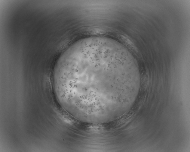 X0000073950415200609051758