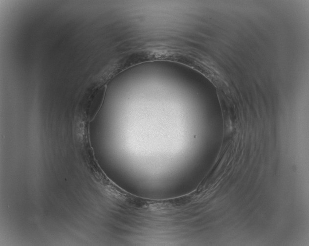 X0000073950417200609051758