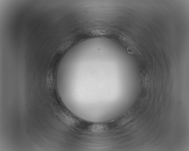 X0000073950418200609051758