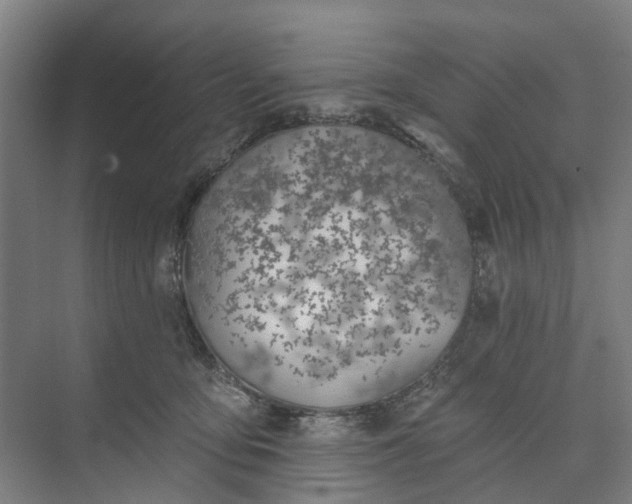 X0000073950419200609051758